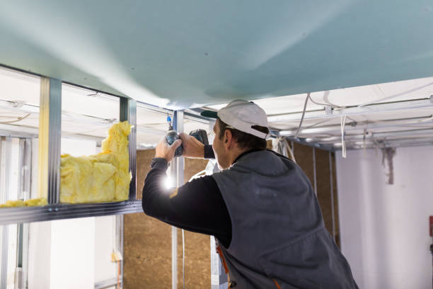 Best Insulation Removal  in Ramseur, NC