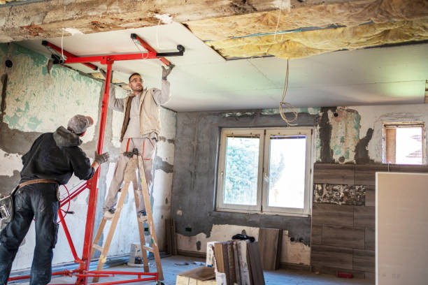 Best Home Insulation Services  in Ramseur, NC