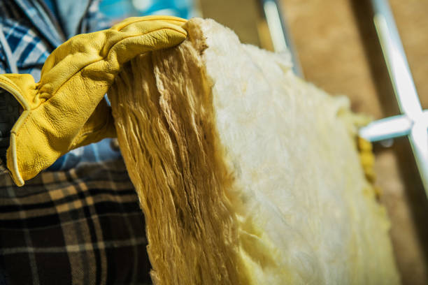 Best Professional Insulation Contractor  in Ramseur, NC