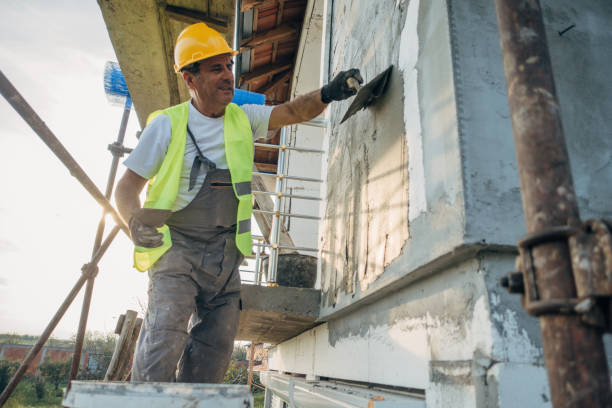 Best Cellulose Insulation  in Ramseur, NC