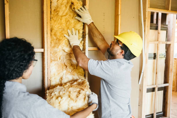 Best Garage Insulation Installation  in Ramseur, NC