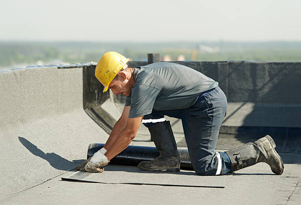 Best Energy-efficient Insulation  in Ramseur, NC
