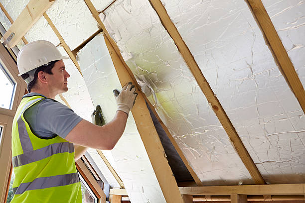 Best Blown-in Insulation  in Ramseur, NC