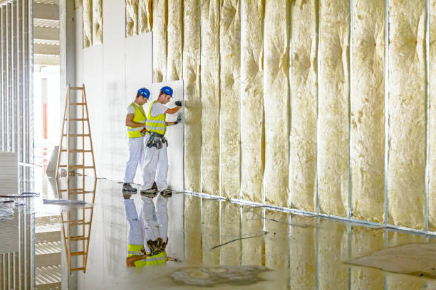 Best Insulation Removal  in Ramseur, NC